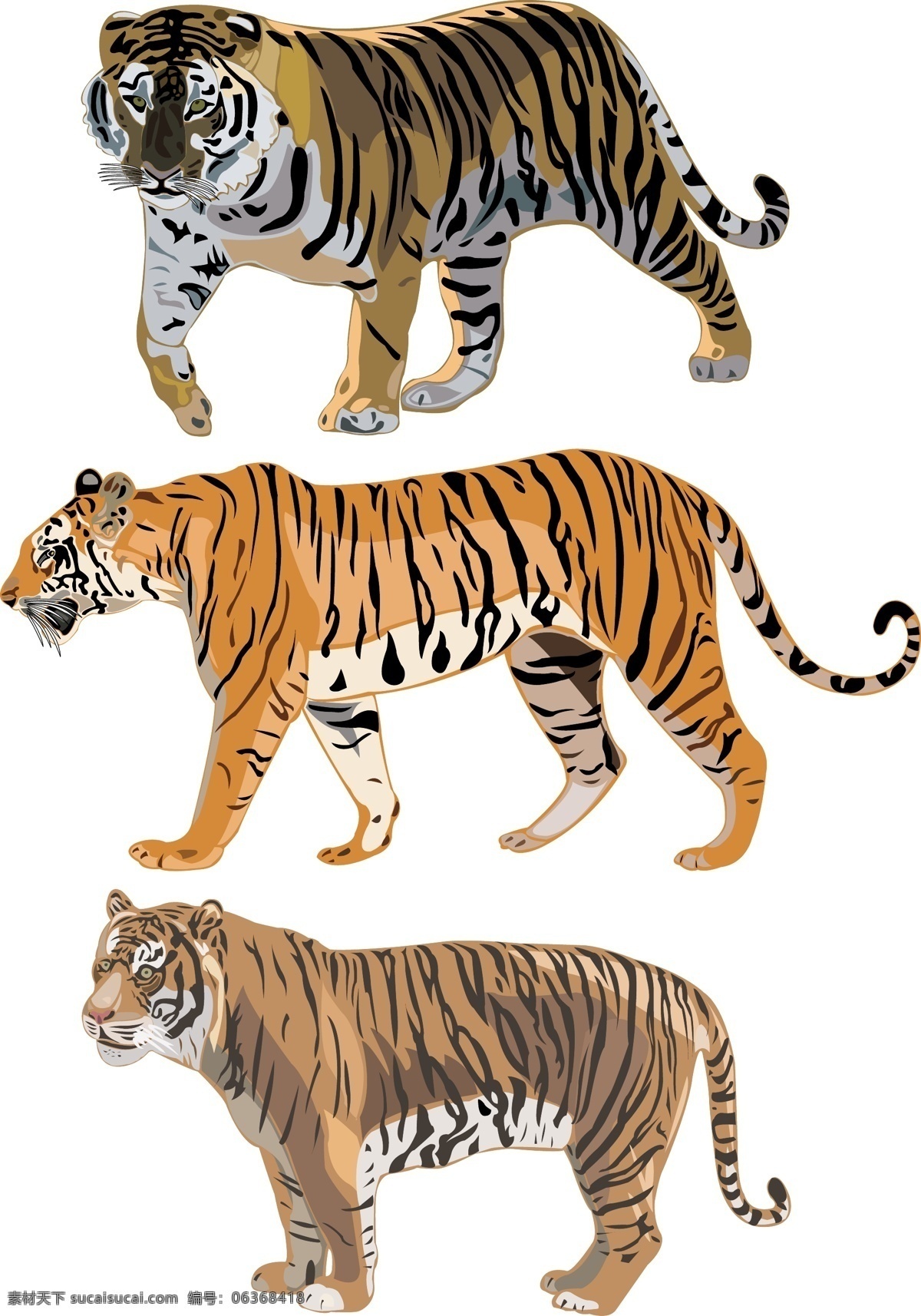 老虎 图案 水彩画 矢量图 其他矢量图