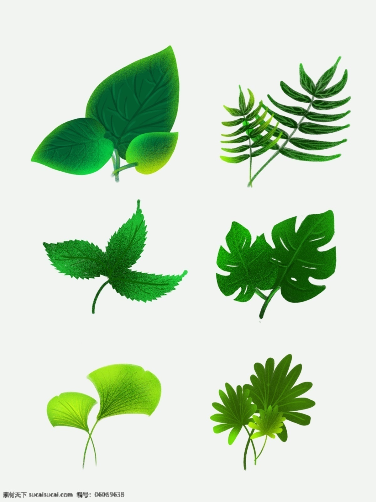 手绘 绿色 写实 植物 商用 植物元素 手绘植物 绿色植物 环保元素 清新植物 植物绿叶