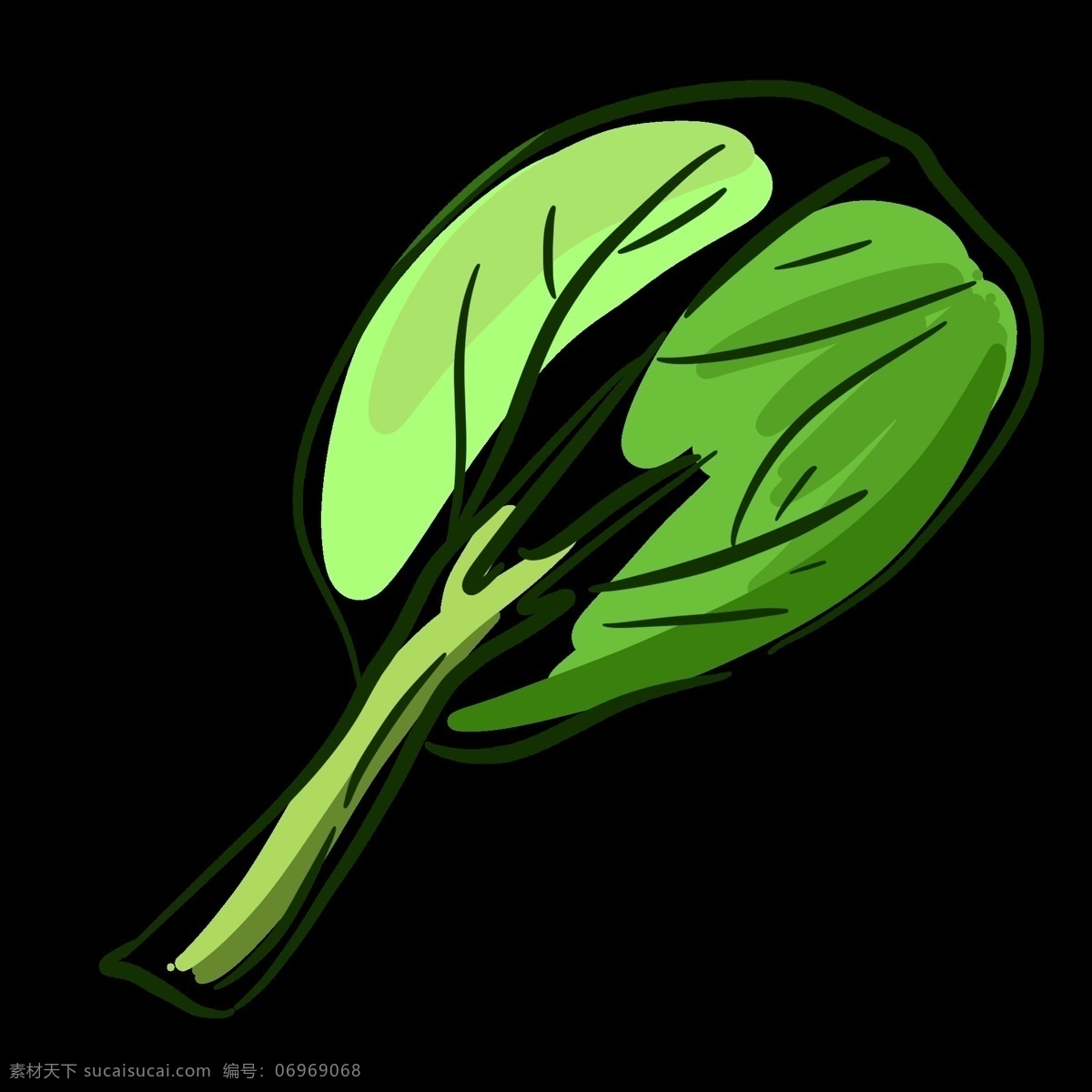 片 性 绿色 蔬菜 青菜 一片 手绘 线性 植物 时令蔬菜 墨绿色 线条 黄色 浅绿色 装饰 贴画
