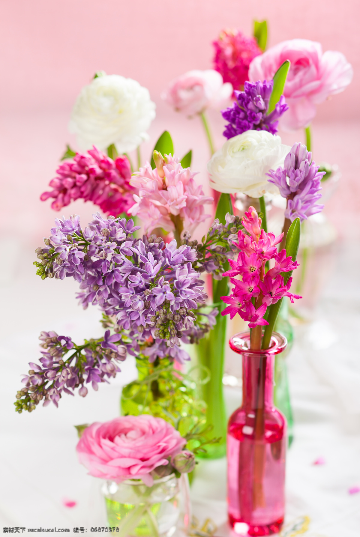 彩色 玻璃瓶 插花 小瓶子 彩色花朵 花朵 花卉 鲜花 粉色 紫色 花草 植物 静物 白色