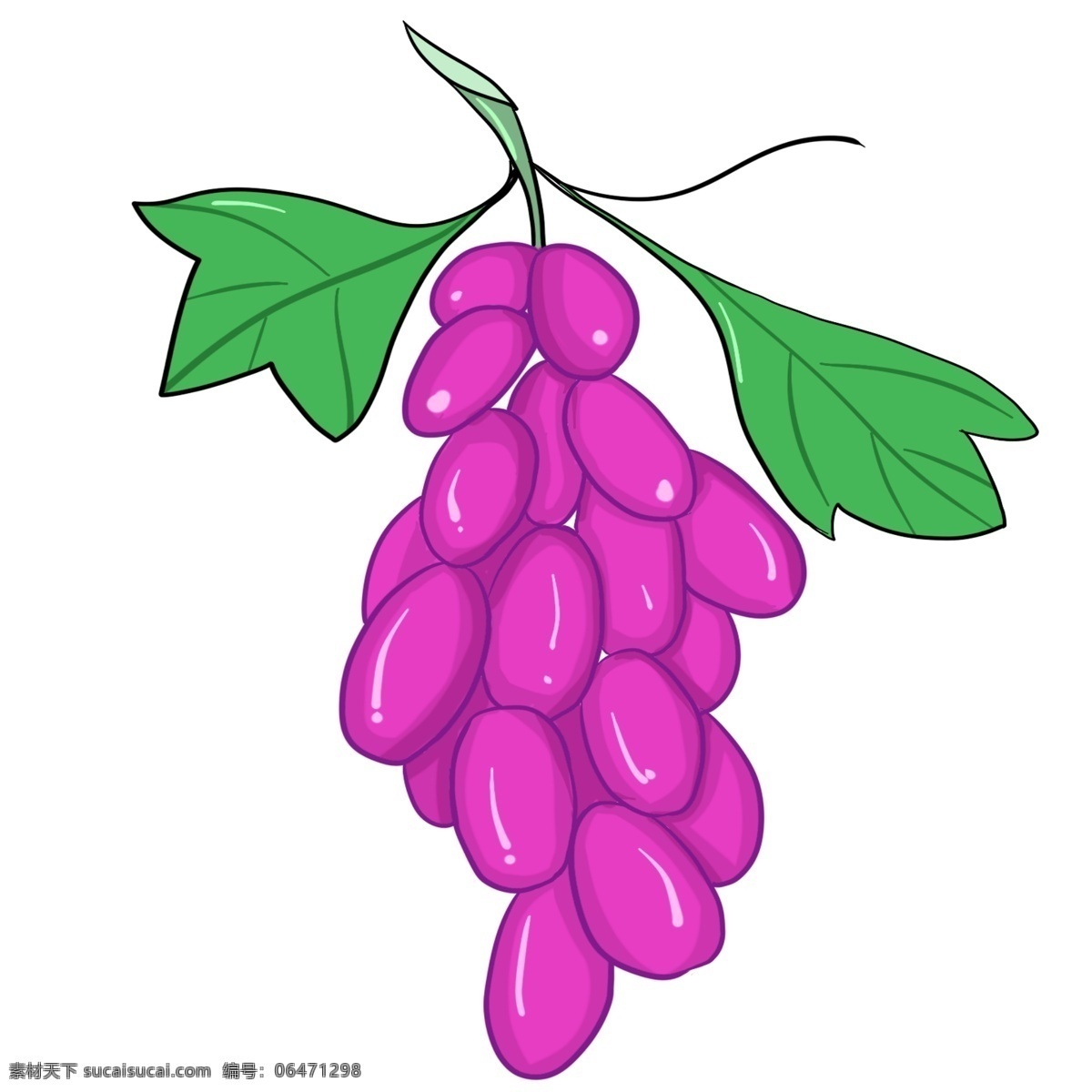 葡萄 种植 植物 生长 绿色食品 紫色 维生素 卡通 装饰画 装饰 大自然 培育 甜 叶子 绿色 可爱 清新 味道 水果