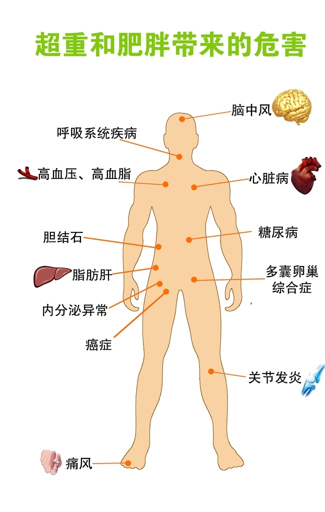 超重 肥胖 带来 危害 心脏 肝 血管 脑 人体 男 招贴设计