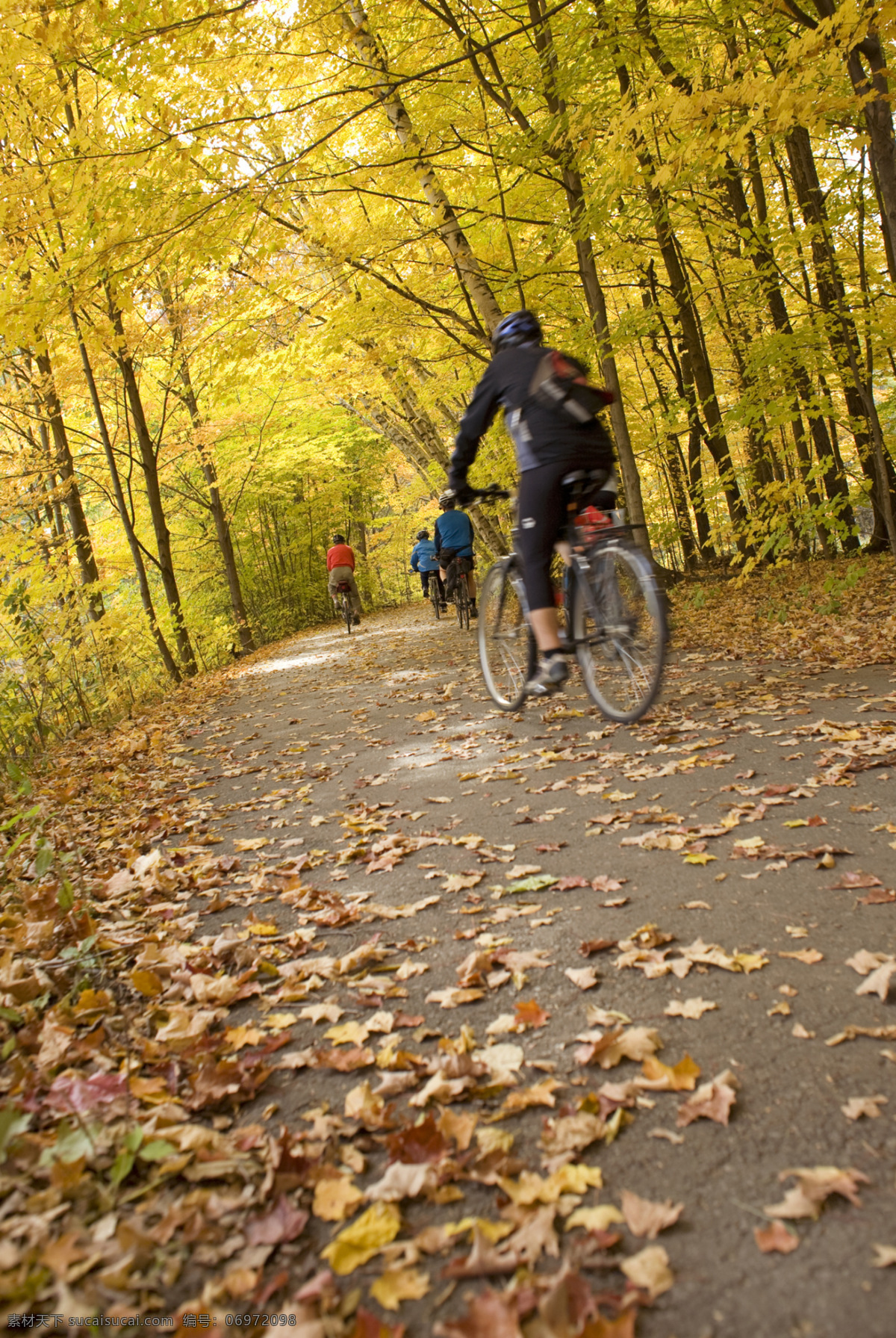外出旅行 自行车 外出 野外 落叶 秋天 背包 国外旅游 旅游摄影