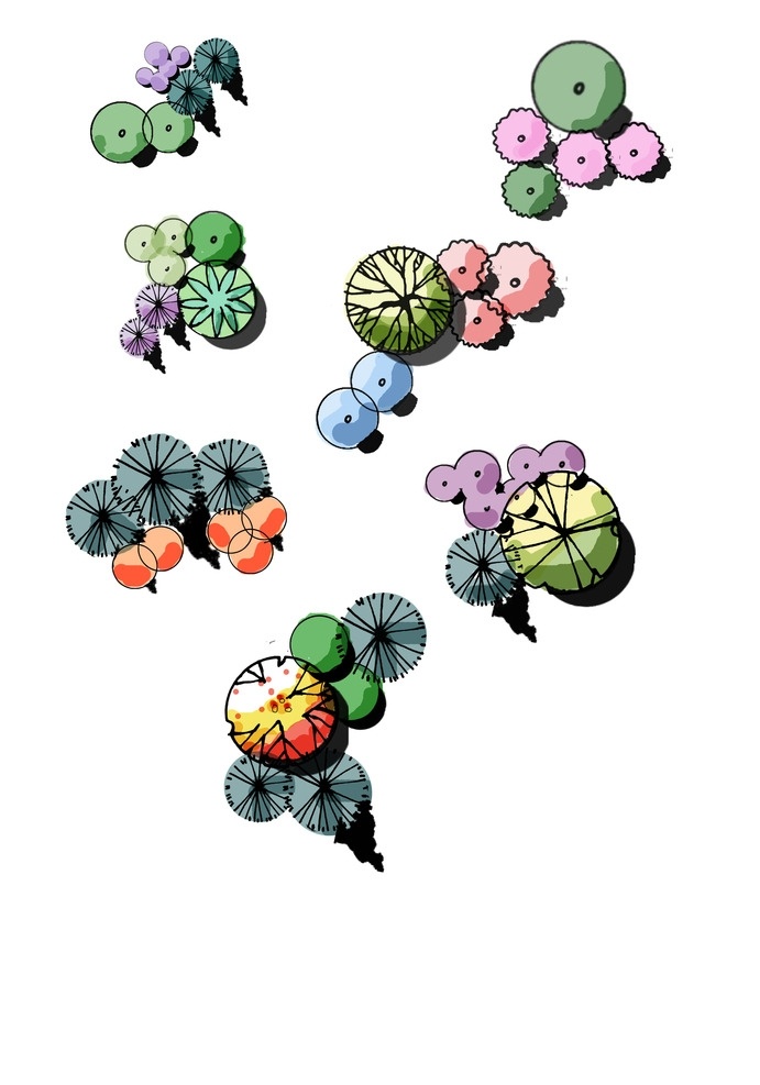 手绘平面植物 彩平图素材 室外彩平图 手绘平面 植物 景观其他设计 环境设计 源文件 分层