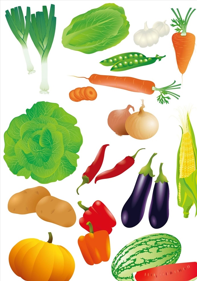 矢量蔬菜 矢量 手绘 卡通 蔬菜 南瓜 茄子 辣椒 土豆 萝卜 大葱 插画 卡通蔬菜 蔬菜绘画 手绘蔬菜 蔬菜素材 蔬菜元素 元素 图标 图案