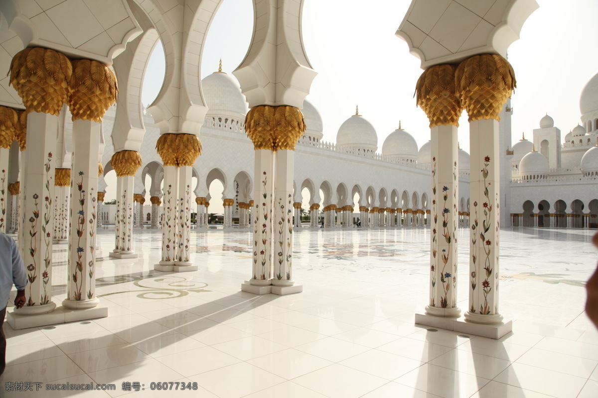 阿布扎比 伊斯兰 清真寺 阿联酋 迪拜 迪拜风光 旅游摄影 国外旅游