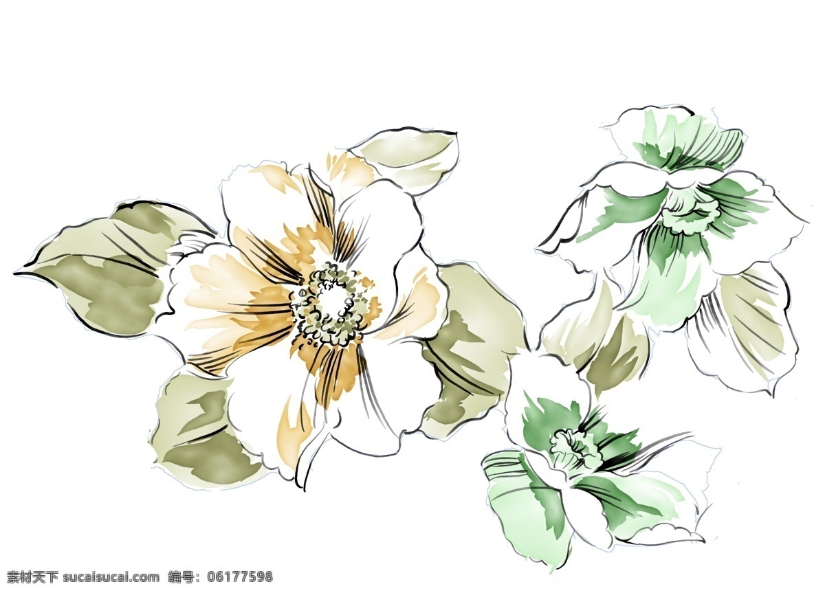 彩绘花草 韩式花纹 psd0896 设计素材 花草主题 装饰图案 psd源文件 白色