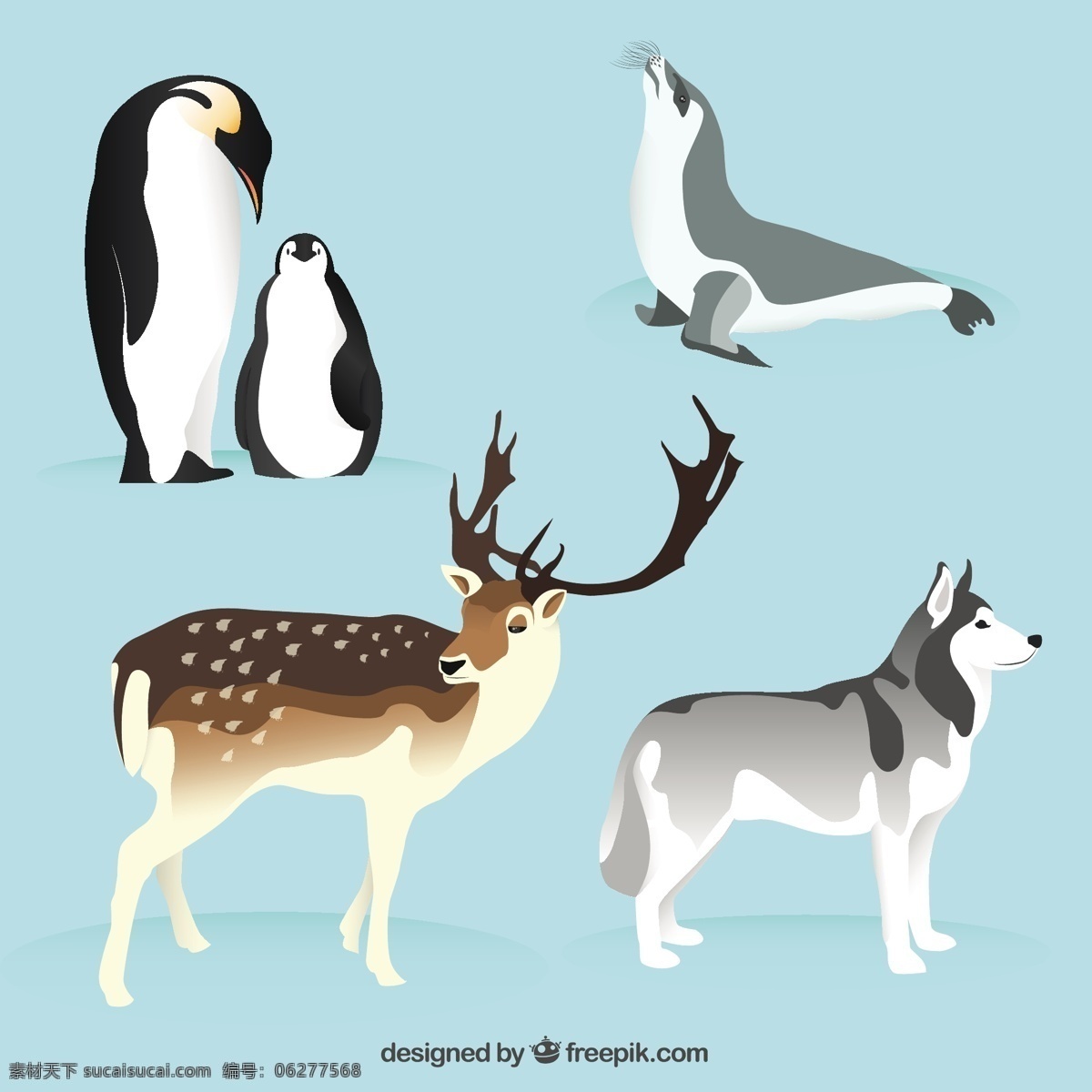 漂亮 北极 动物 雪 驯鹿 狼 海豹 冰冻 企鹅 寒冷 野生 下雪 极地