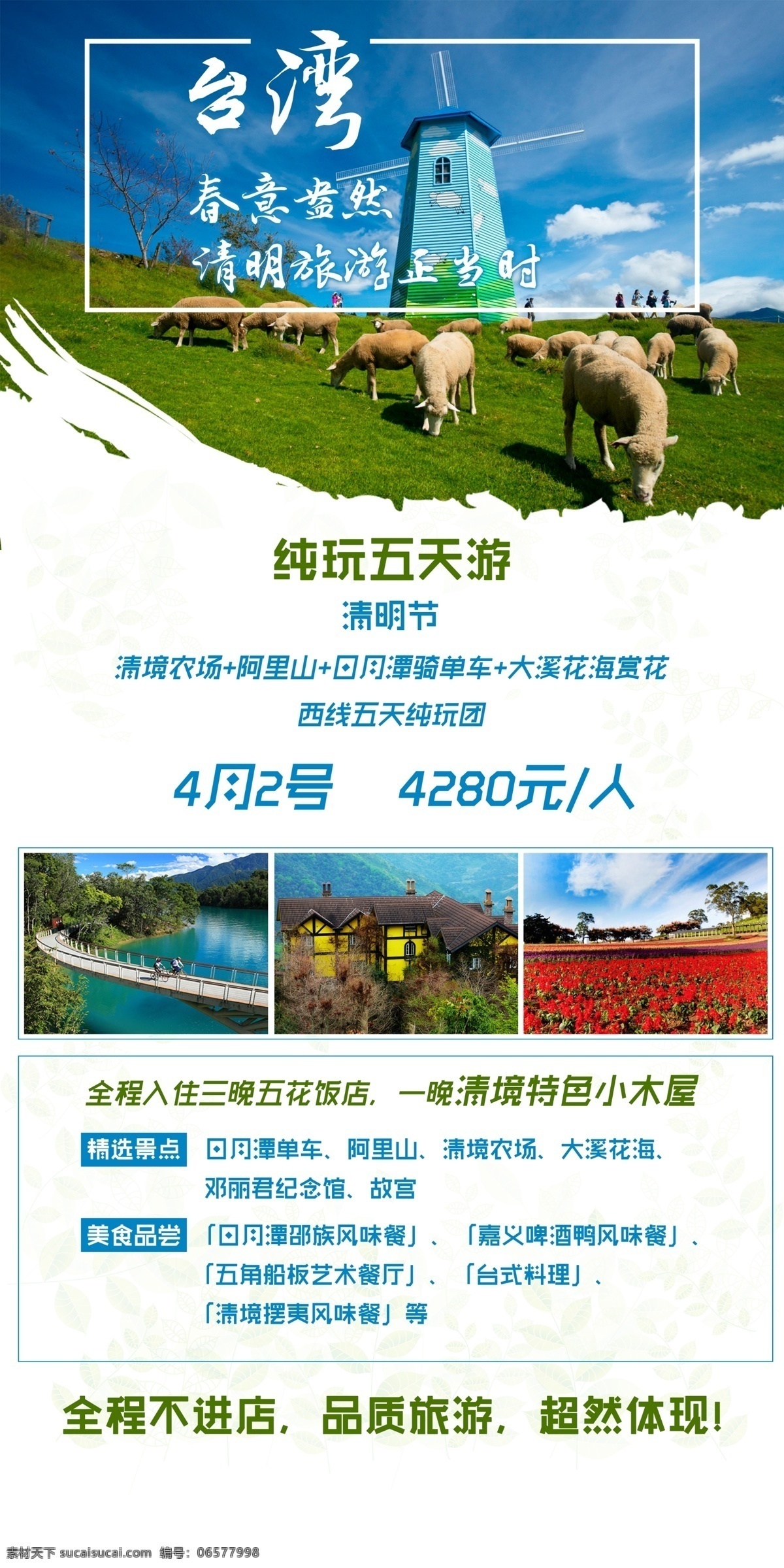 春天台湾旅游 春天 清明节 台湾 旅游 品质 白色