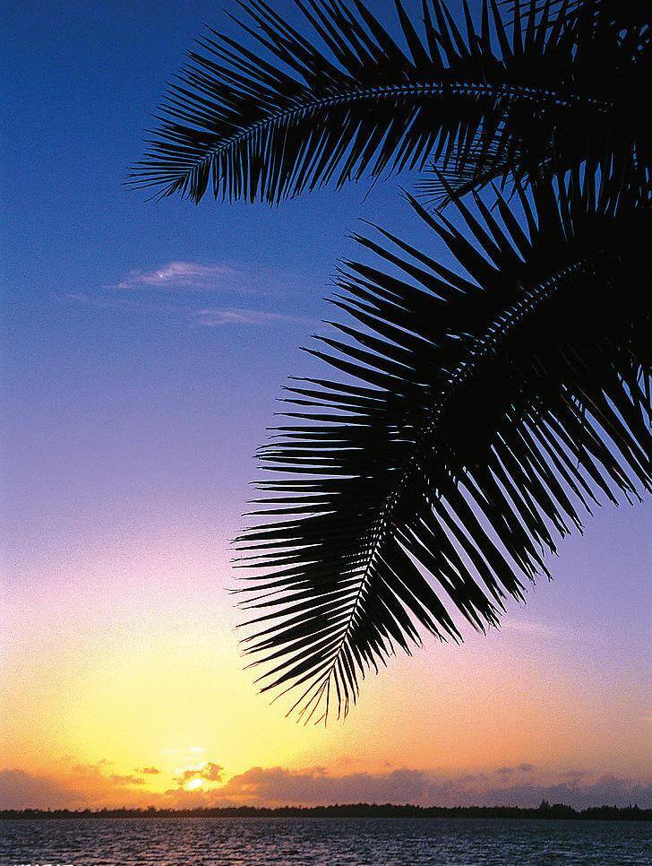 唯美 海边 夕阳 风景图片 大海 海面 海滩 沙滩