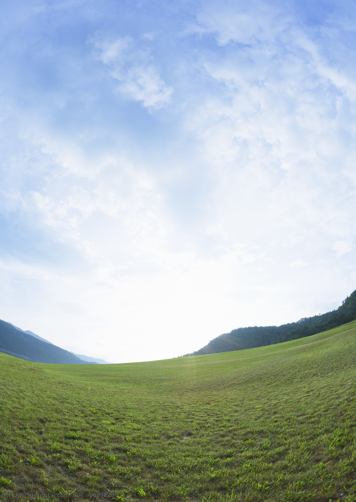 蓝天草地风景 绿地 绿草 草坪 郊外风景 户外 大自然 草原 草 草地 树林 草原风景 草原图片 摄影图片 高清图片 花草树木 生物世界 白色