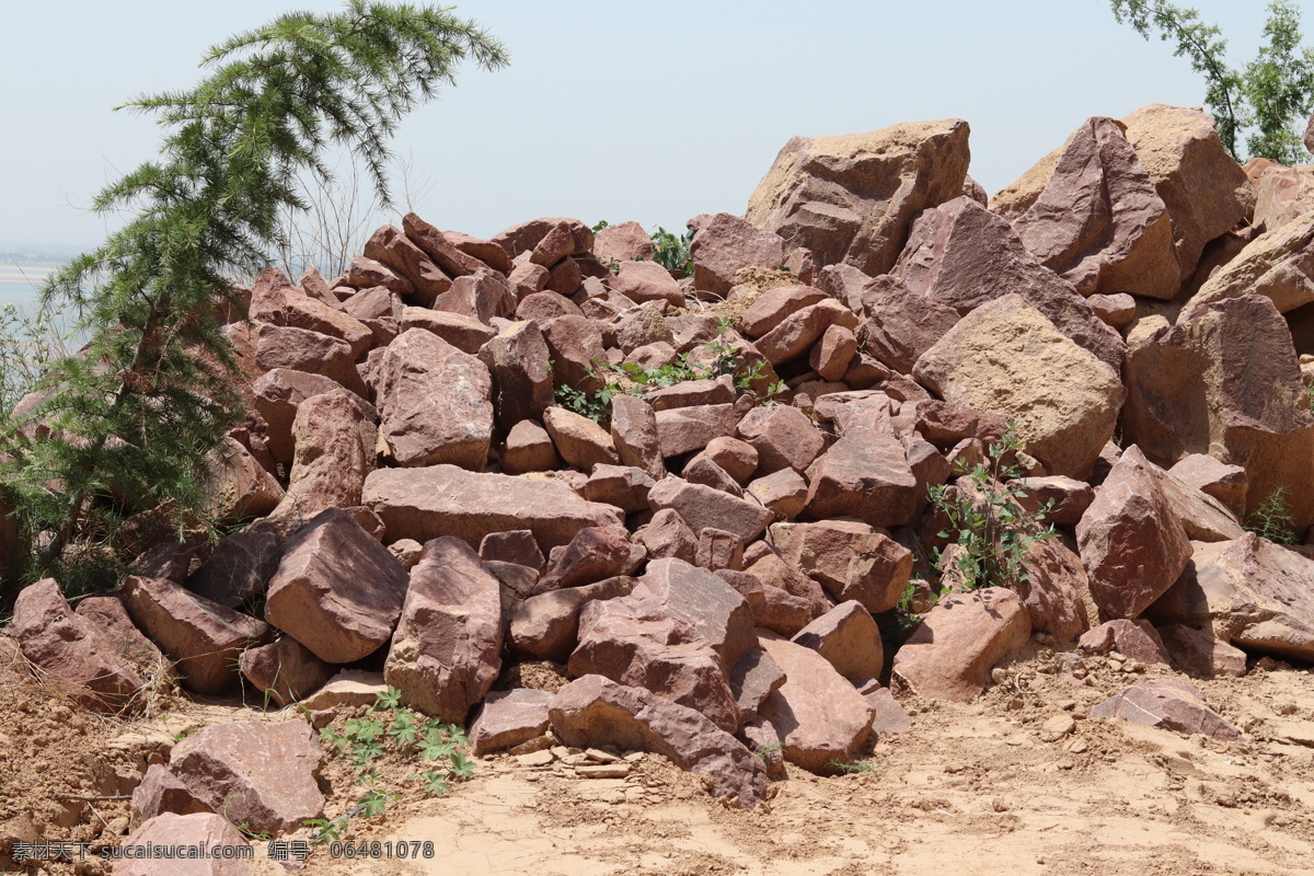 石块和植物 石块 纹理 卵石 质感 地质 矿物 岩石 灰色 表面粗糙 红色 摄影图 旅游摄影 国内旅游