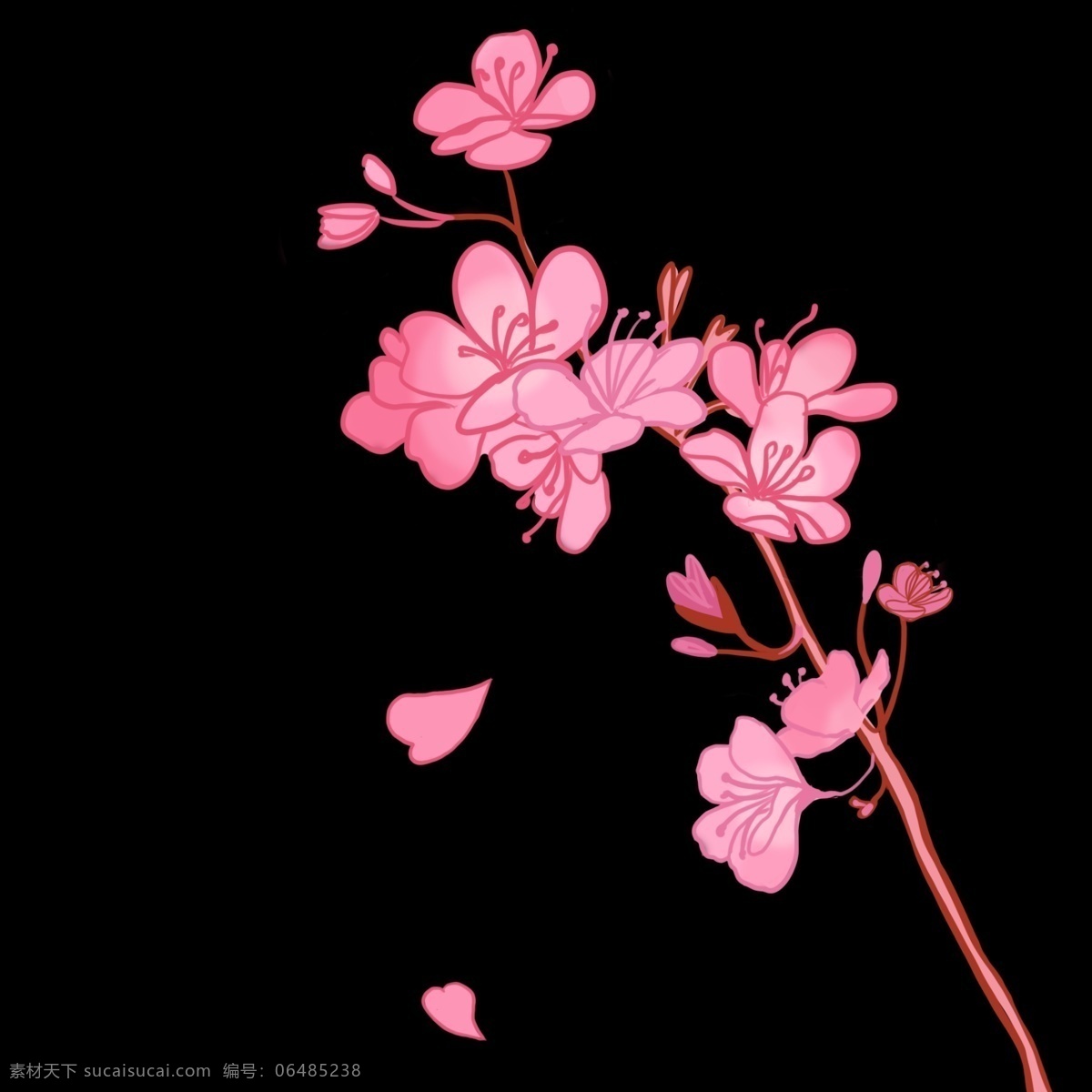 粉色 樱花 花朵 插画 粉色的樱花 卡通插画 植物插画 樱花插画 樱花花朵 装饰樱花 好看的樱花