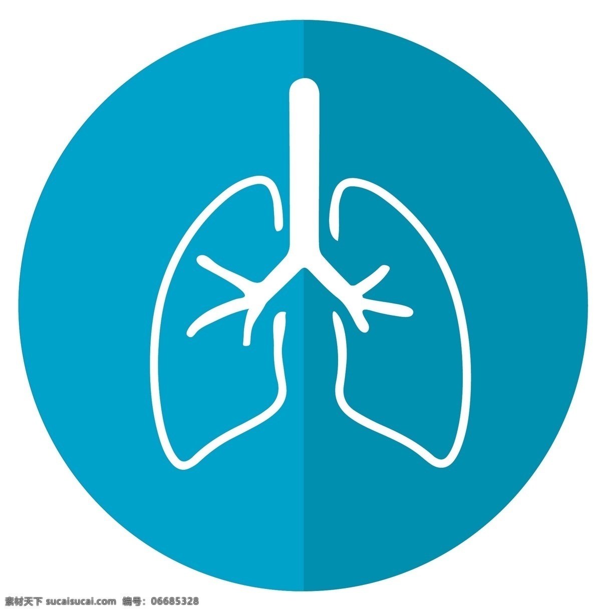 肺的图标 呼吸 解剖 支气管 器官 医疗