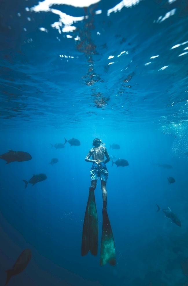 鱼 海鱼 热带鱼 女孩 女人 女性 潜泳 游泳 潜水员 海底 礁石 水里 海水 水下 旅游 旅行 度假 蓝色 背影 鳍 文化艺术 体育运动