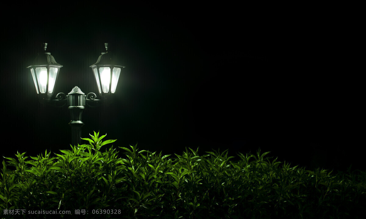 草丛 灯光 灌木丛 黑色 路灯 旅游摄影 夜晚 亮 光 欧式 植物 自然风景 家居装饰素材