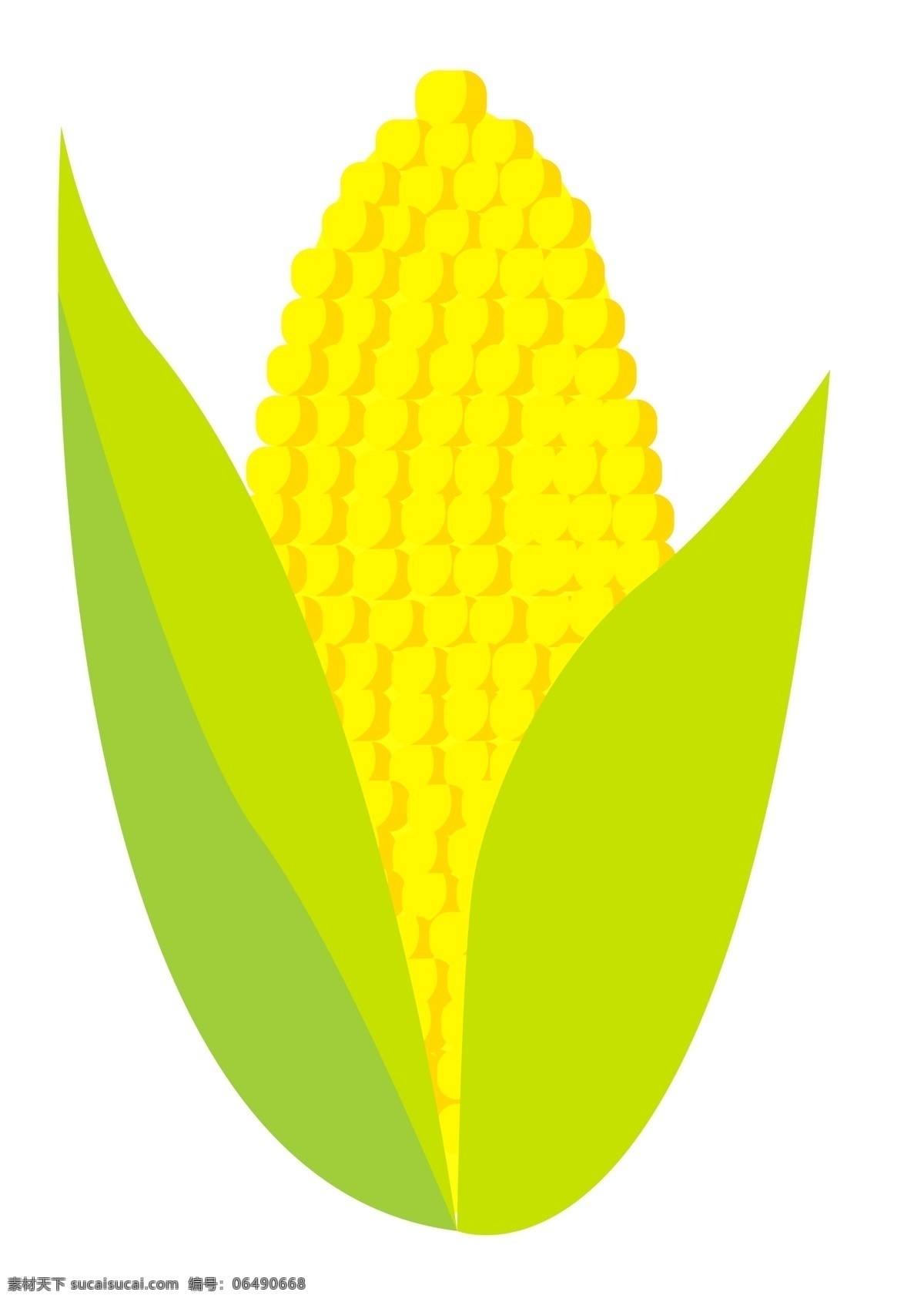 新鲜 的卡 通 玉米 插画 新鲜的玉米 卡通蔬菜插画 卡通玉米 绿色的叶子 蔬菜 食材插画 烹饪食材插画