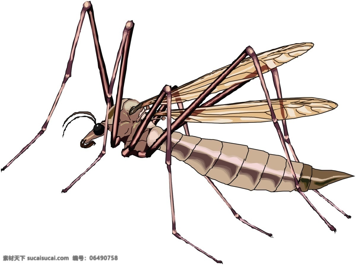 虫子 虫子矢量素材 虫子模板下载 蚜虫素材 昆虫 生物世界 分层 源文件