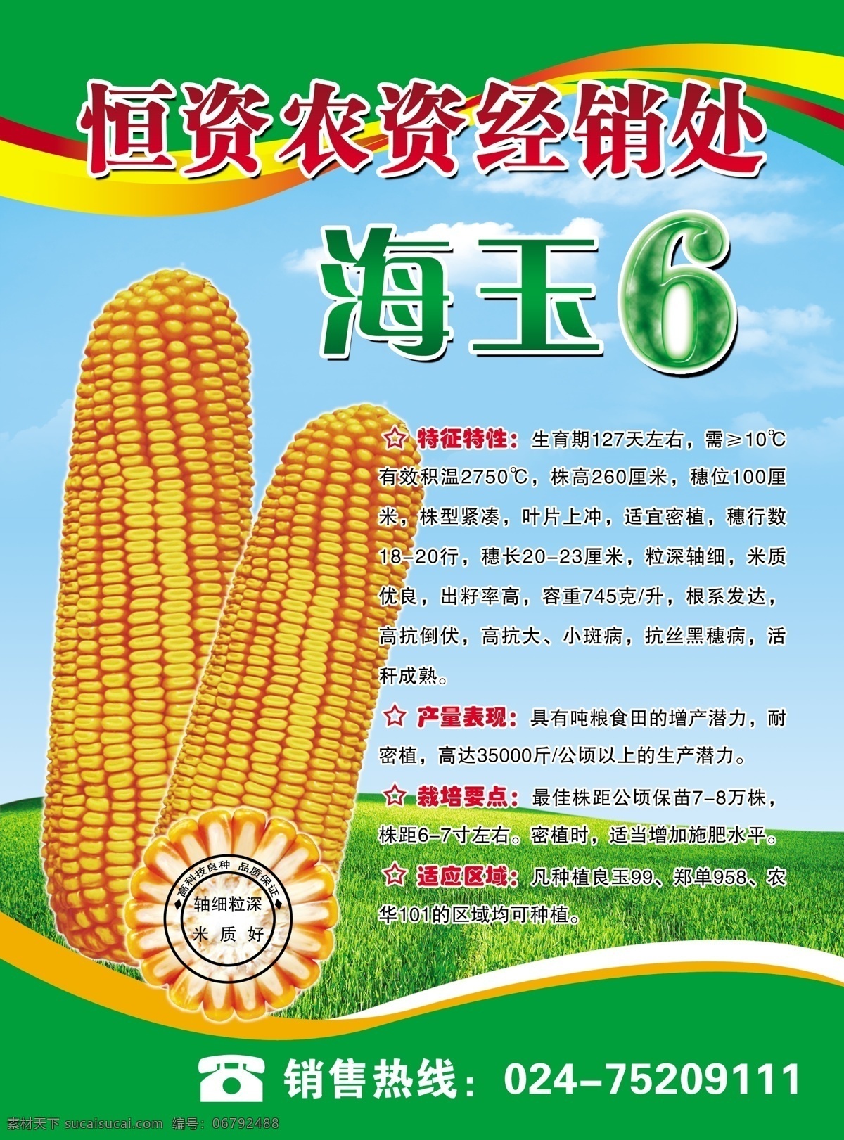 玉米种业海报 玉米种 玉米 种子 耐热 结实 早熟 高产 籽粒 种业 海玉6 玉米种海报