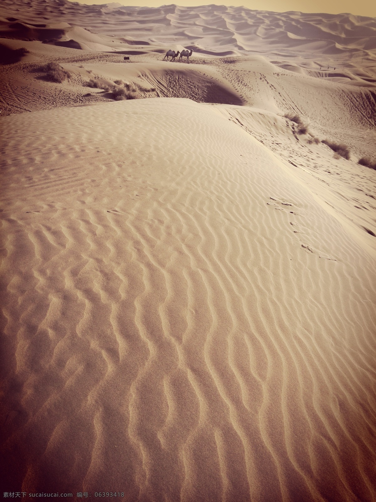 唯美 新疆 沙漠 风景 高清 库木塔格 荒漠 黄沙 沙子