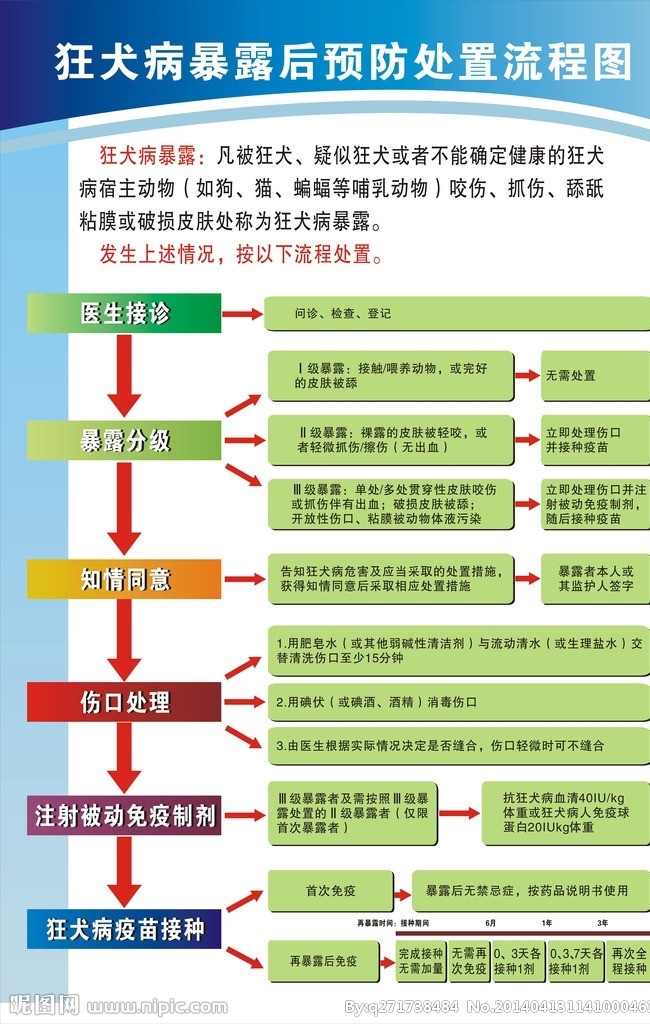 狂犬病 处置 流程图 狂犬病处置 海报 广告 展板 矢量