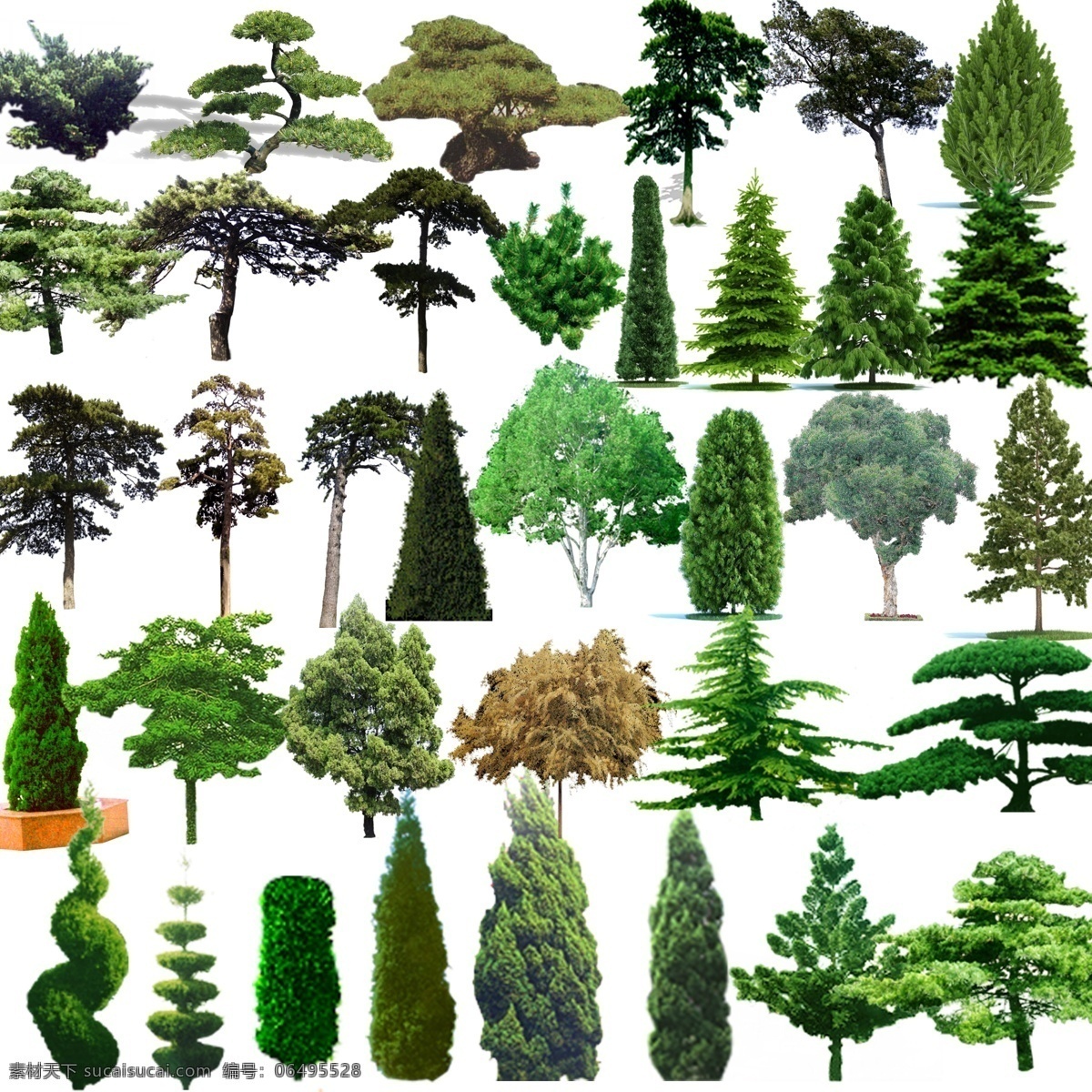 松树 树木 植物 绿化 景观 园林 亮化 柏树 盆景 节节高 分层 源文件