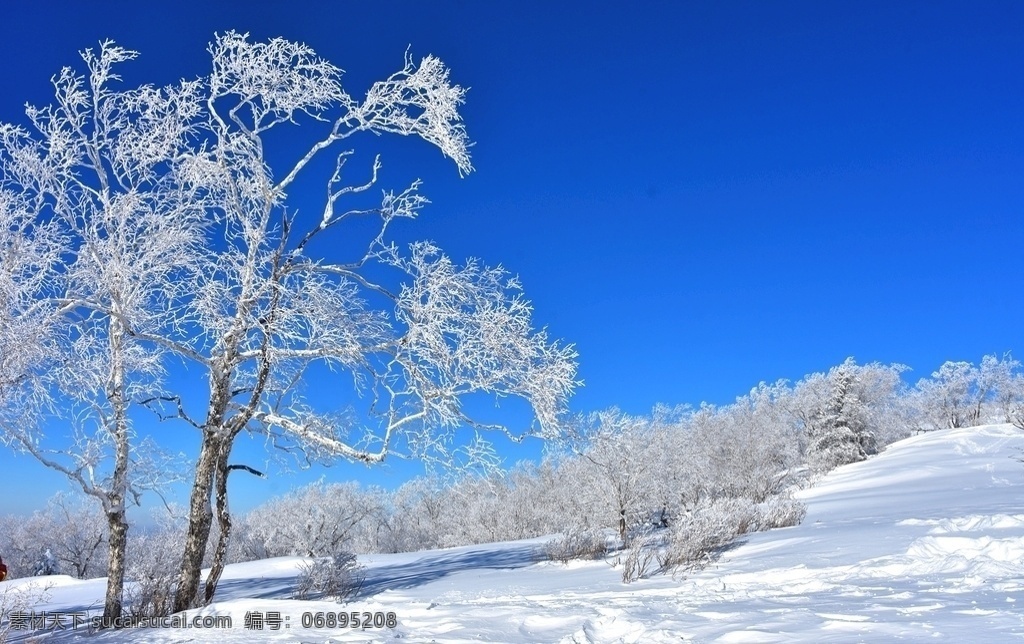 雪景 大雪 雪地 白茫茫 蓝天 户外 风景 冬天 树枝 树木 树影 树林 寒冷 树挂 风光 自然景观 自然风景