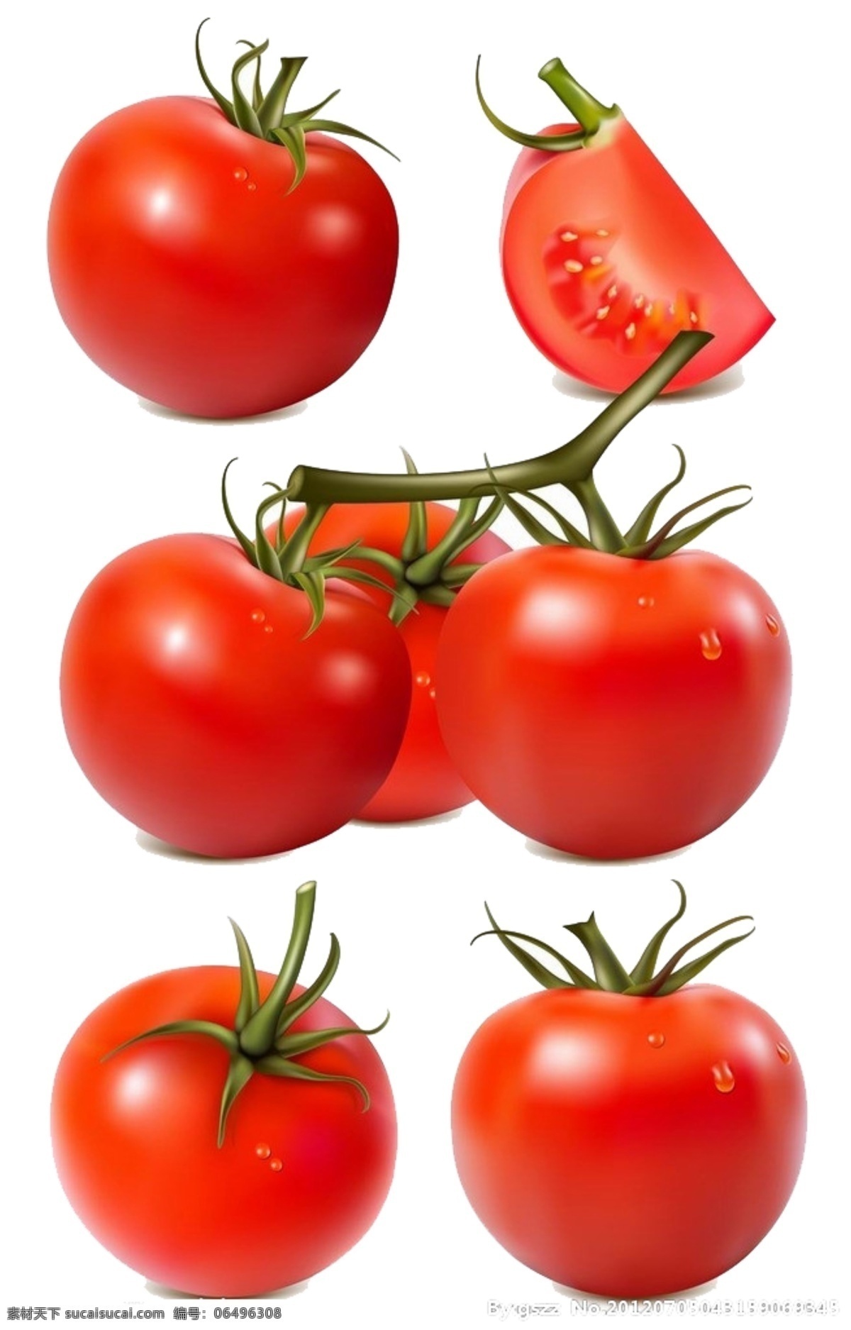 西红柿素材 免抠 番茄 白色
