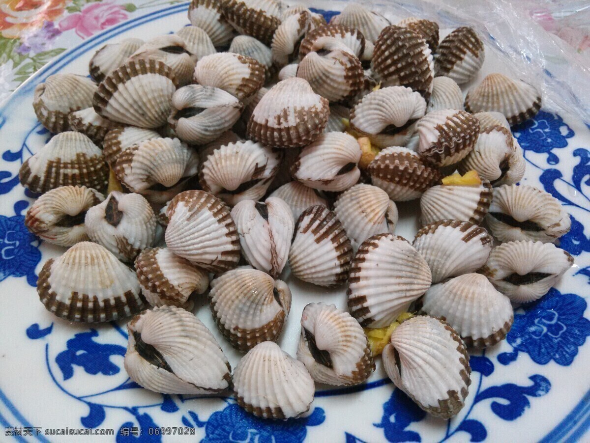 血蛤 海鲜 贝壳 好吃 美味 美食 传统美食 餐饮美食
