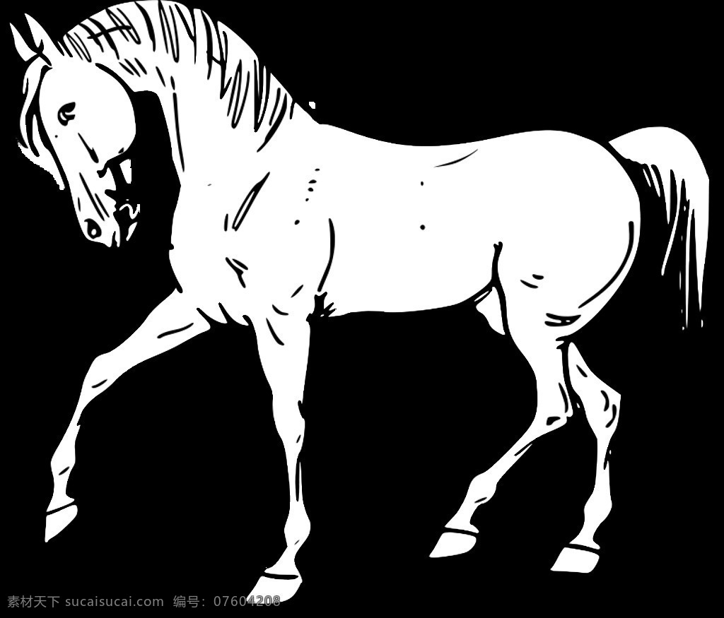 走马 轮廓 哺乳动物 动物 黑色的 着色书 马 线的艺术 概述 插画集