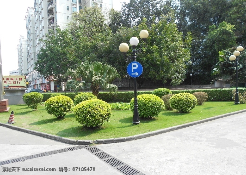 小区绿化 小区 绿化 树球 停车场入口 人行道 小区景观设计 生活百科 生活素材