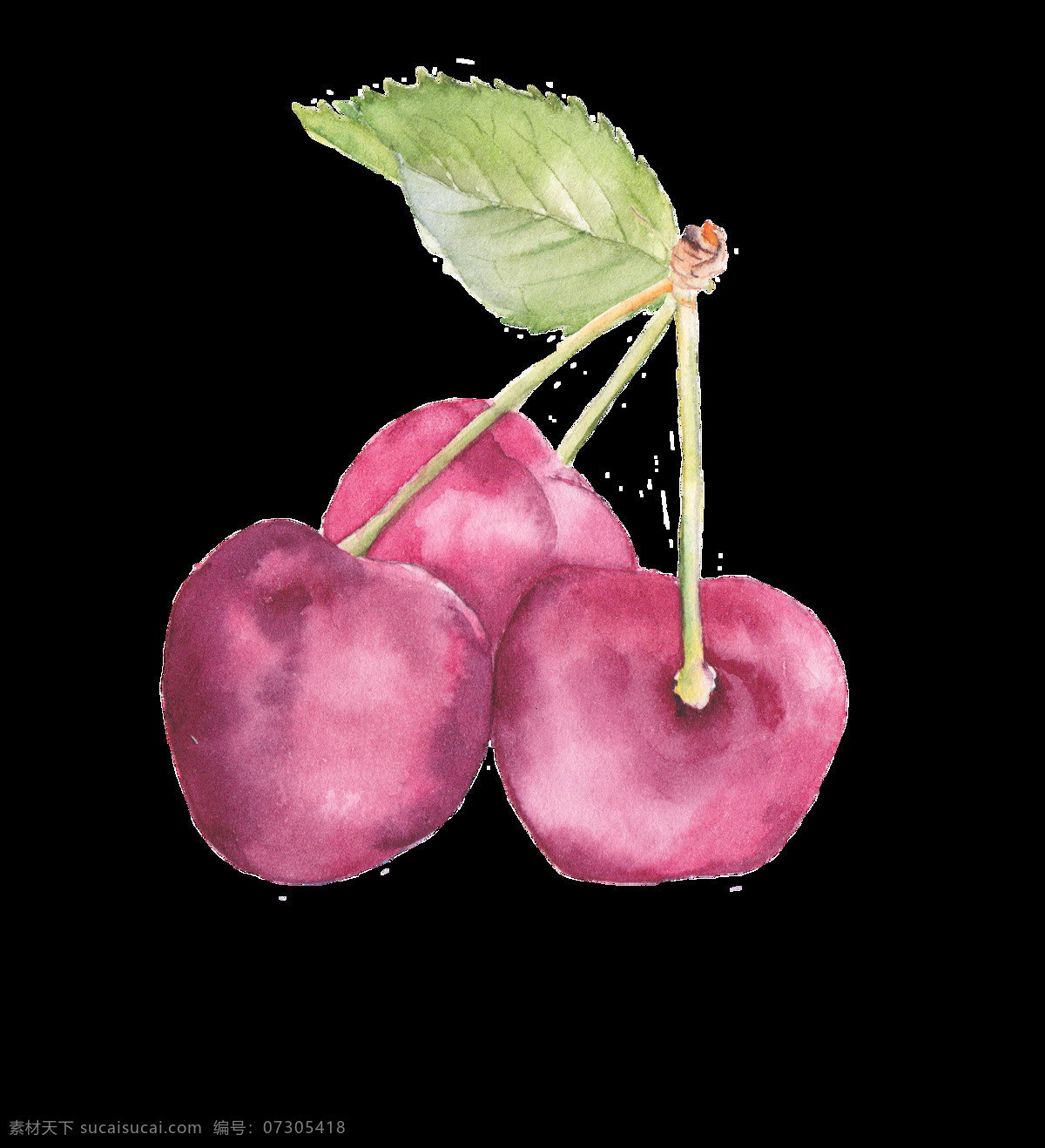 手绘 逼真 三 粒 樱桃 装饰 绿叶 免扣素材 水果 透明素材 植物 装饰图片 紫红色