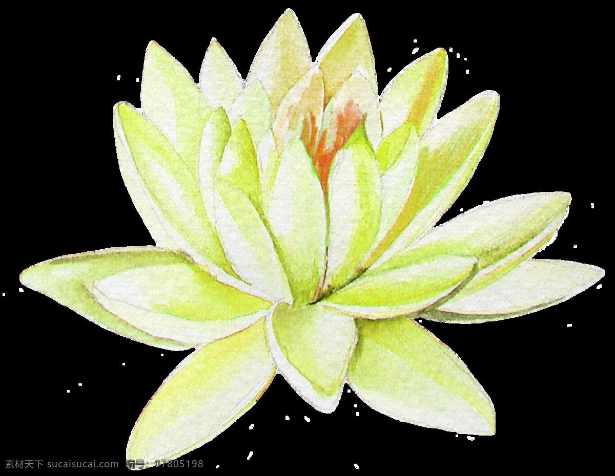 朵 盛开 花朵 透明 逼真 荷花 免扣素材 水彩 透明素材 荧光绿 绽放 装饰图案