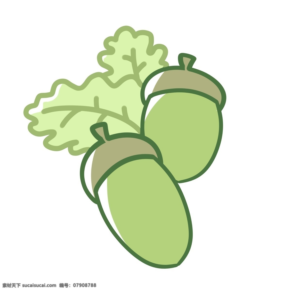 绿色 橡 果 装饰 插画 绿色的橡果 漂亮的橡果 营养橡果 橡果装饰 橡果插画 立体橡果 卡通橡果