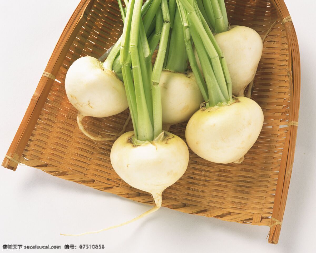 萝卜 白萝卜 餐饮美食 摄影图库 生物世界 食物 蔬菜 白蘿蔔 原料 水果蔬菜 高清蔬菜 风景 生活 旅游餐饮