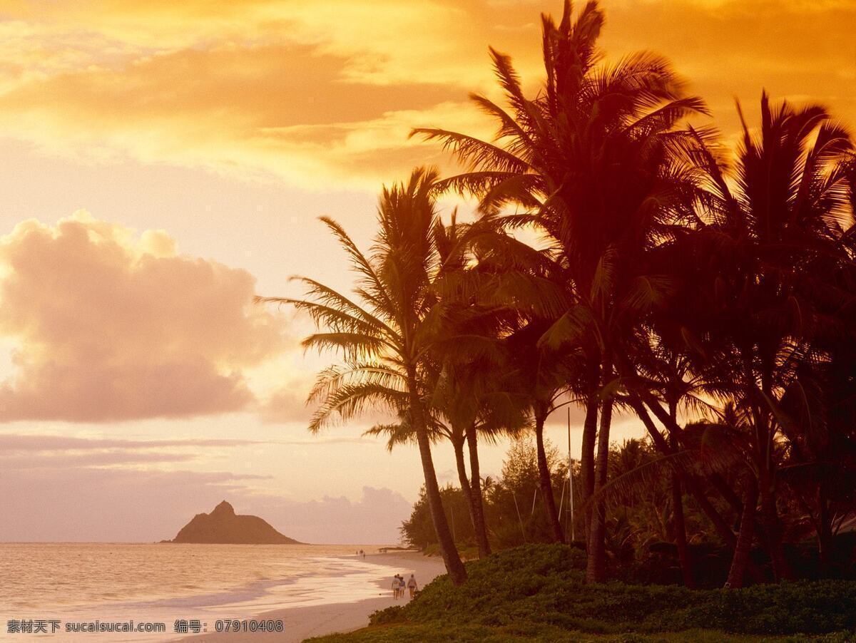 椰树 晚霞 高清 美景 夕阳 海岸 自然景观 自然风景
