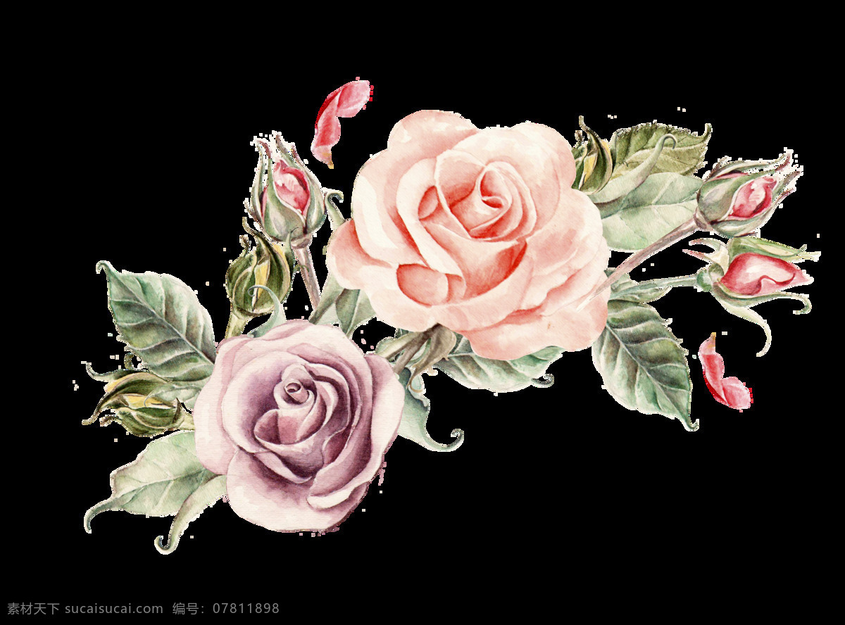 百花 盛开 花卉 卡通 透明 美丽 抠图专用 装饰 设计素材