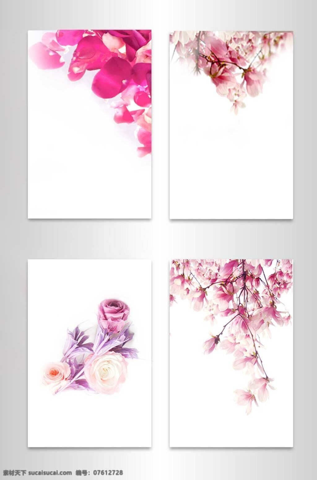 粉色 浪漫 花瓣 免费 花 简约 背景素材 图案装饰 背景修饰花 边角花 玫瑰花 月季花 花的海洋 组合花瓣