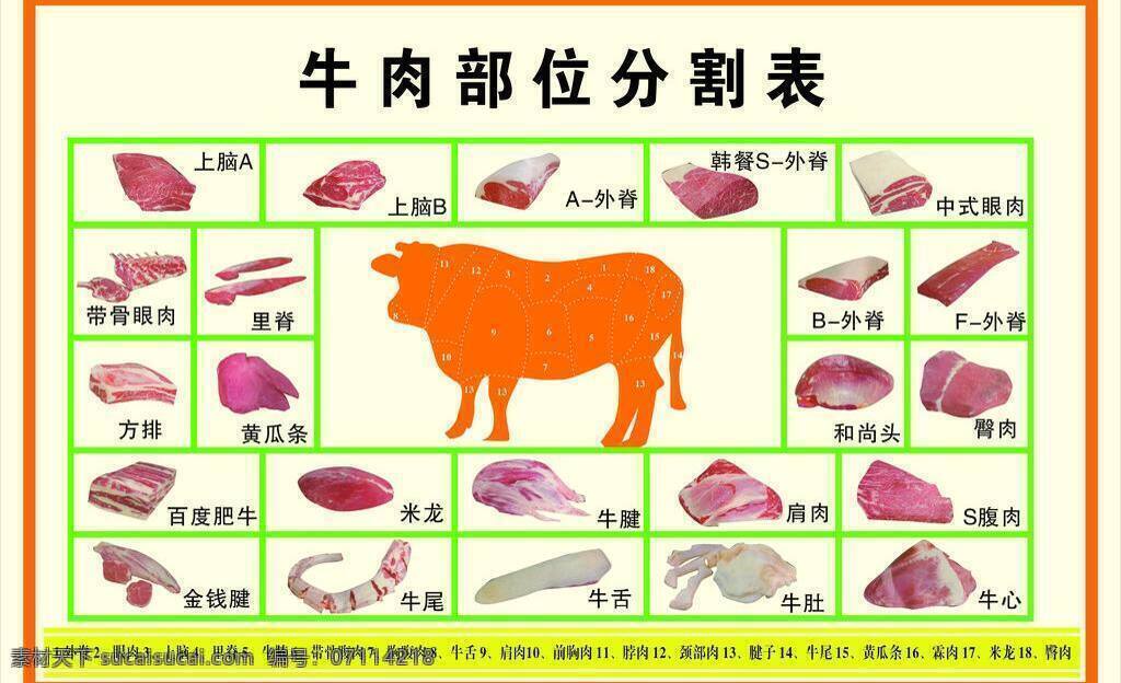 展板模板 牛肉 部位 分割 表 矢量 模板下载 详细表 部位分明 其他展板设计