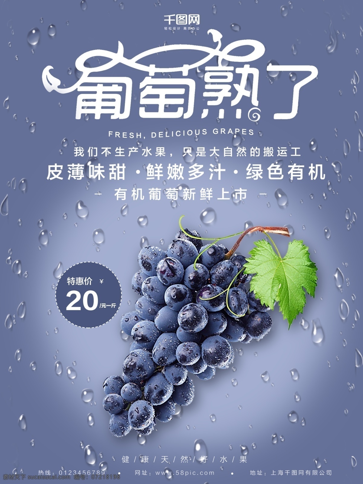 紫色 清新 葡萄 水果 创意 简约 商业 葡萄海报 分销商 宣传海报 农产品 水果广告 葡萄宣传海报 促销海报 海报素材 超市促销 生鲜