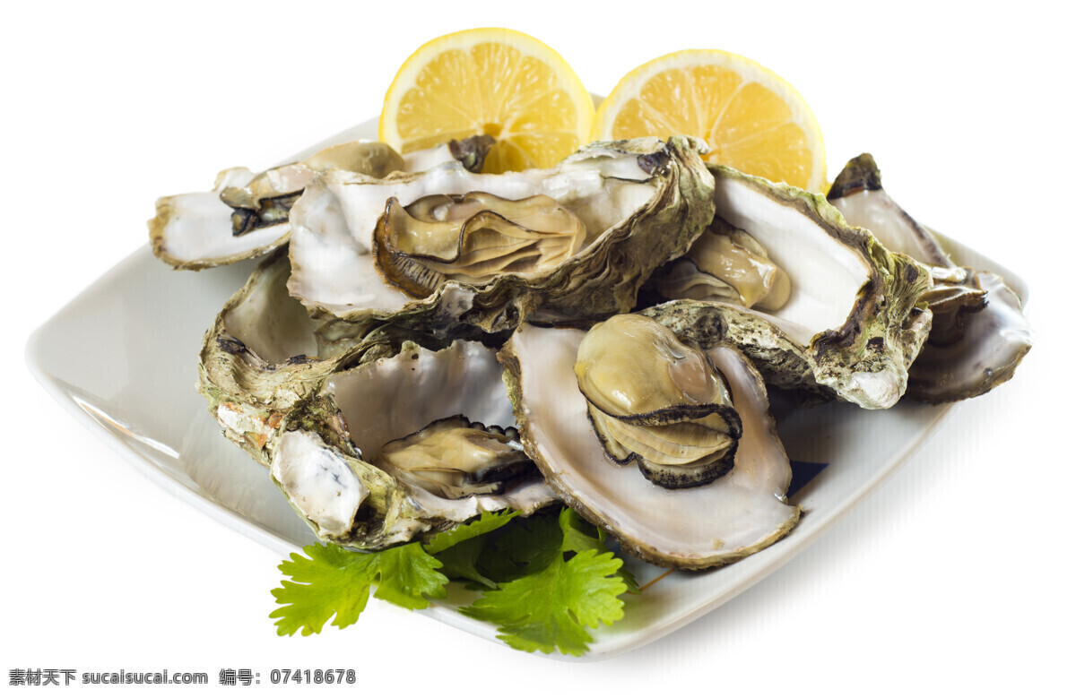 柠檬 生 蚝 生蚝 牡蛎 海鲜美食 食物摄影 美味 美食图片 餐饮美食