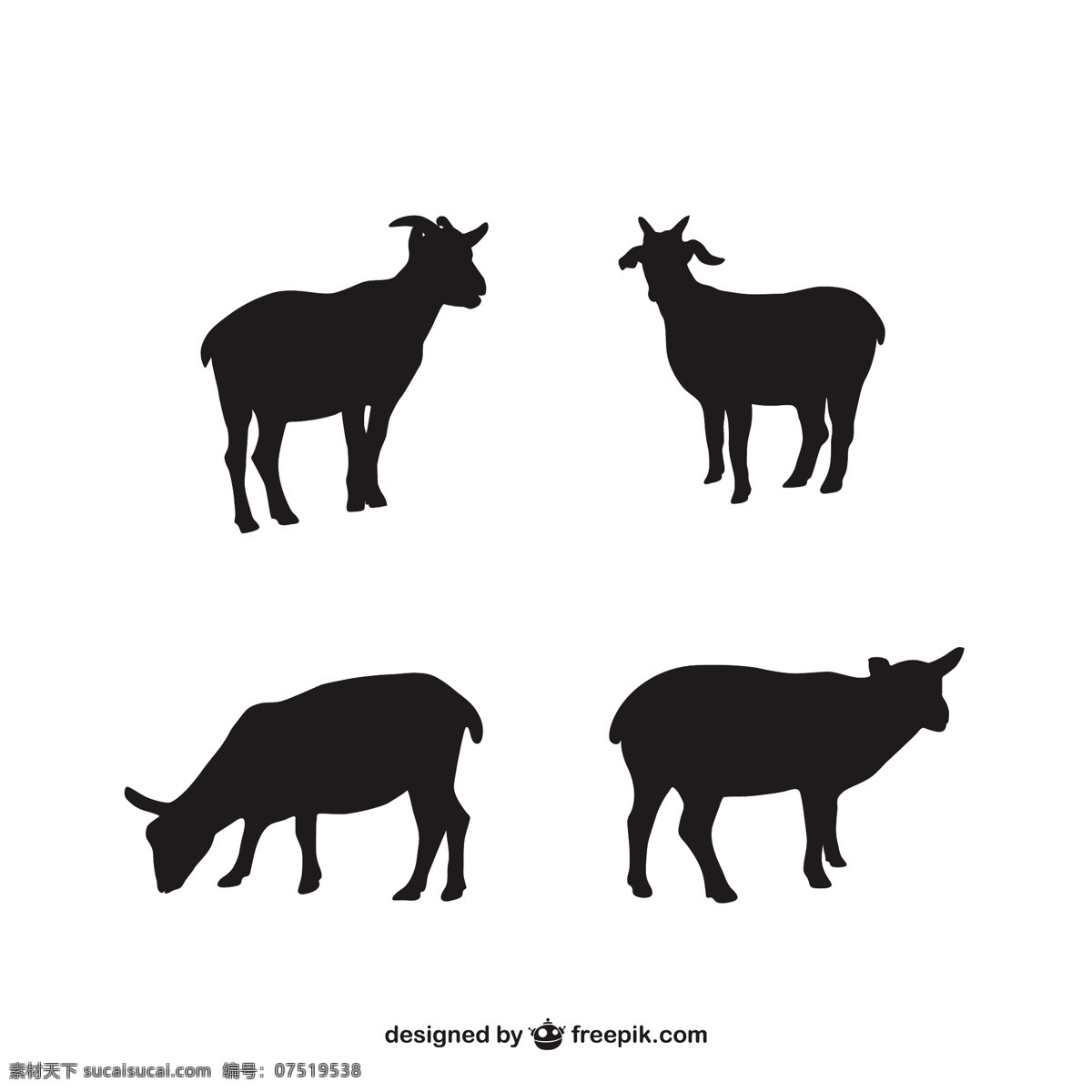 羔羊的剪影 动物农场 动物剪影 羊肉 农场动物 羊羔的轮廓 白色