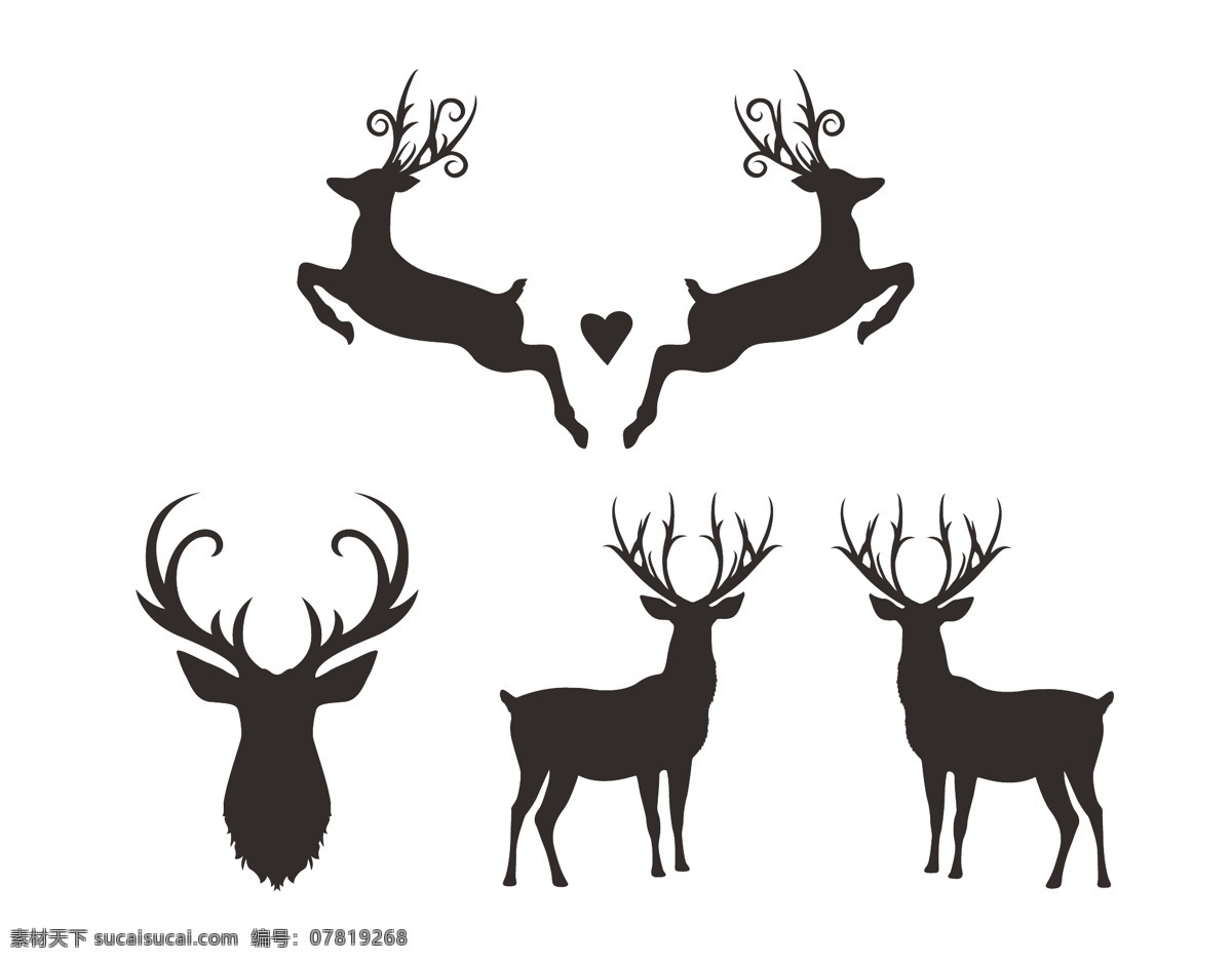 动物 驯鹿 动物的轮廓 黑色的剪影 梅花鹿剪影 小鹿 麋鹿 梅花鹿 森林鹿 鹿 剪影 卡通图 动物剪影 动物世界 卡通动物 漫画动物 陆地动物 生物世界 卡通设计