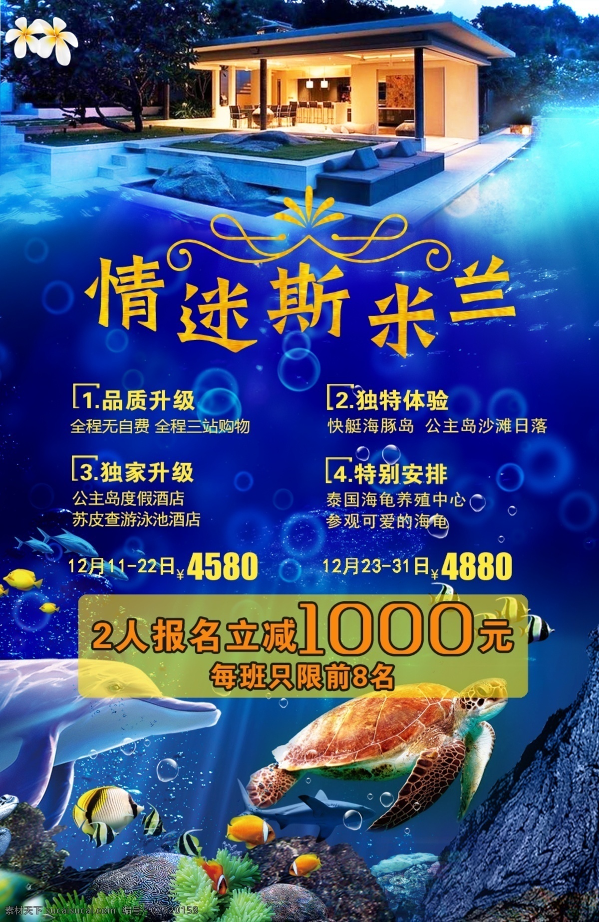 泰国斯米兰 海底世界 泳池酒店 蓝色渐变底纹 鸡蛋花 分层