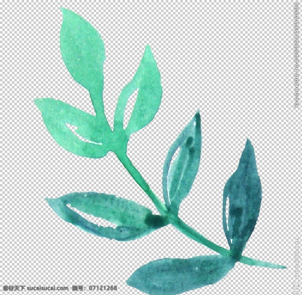 彩绘枝叶 森系花枝 花卉花草 淡雅花枝 花草植物 绿色植物 植树节 橄榄枝 枝条 茎叶 植物 树枝 植物花卉 清新自然 枝叶 森系花卉 清新植物 绿意浓浓 绿叶 绿植 花卉 花朵 植物景观 水彩花朵 花藤 花叶 鲜花 花语 花艺 文艺风 花艺插花 手绘花朵 花边花纹 植物花草 花卉植物 彩绘花纹 欧式花纹