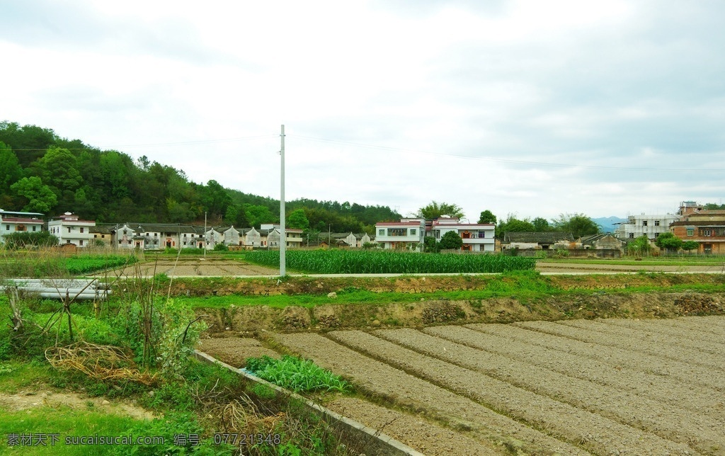 田园风光 蔬菜田园 乡村田园 田园山水 山水风光 田园蔬菜 瓜果田园 乡村农田 蔬菜豆类 玉米田园 农田渠沟 田园水沟 乡村道路 乡村公路 公路路灯 田园民居 乡村民居 民居建筑 民居古屋 客家建筑 田园菜园 田园耕牛 山丘林木 森林竹木 草木树木 山岚林木 山岚铁塔 蓝天白云 天空疑云 风卷残云 自然景观