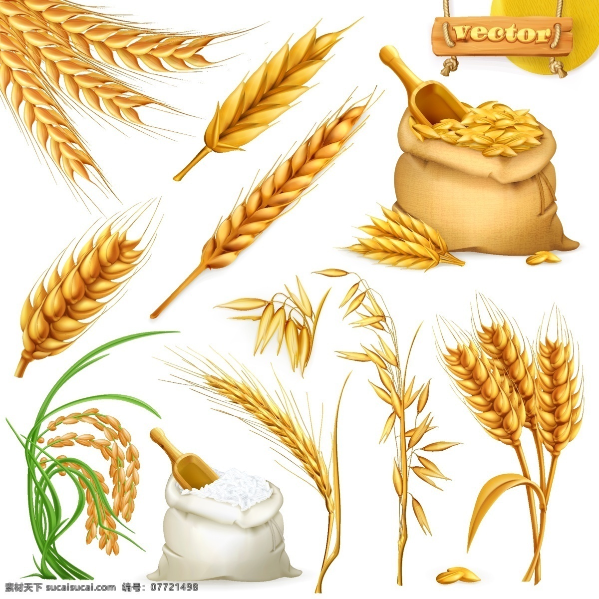 写实 小麦 制品 静物 农作物 丰收 面粉