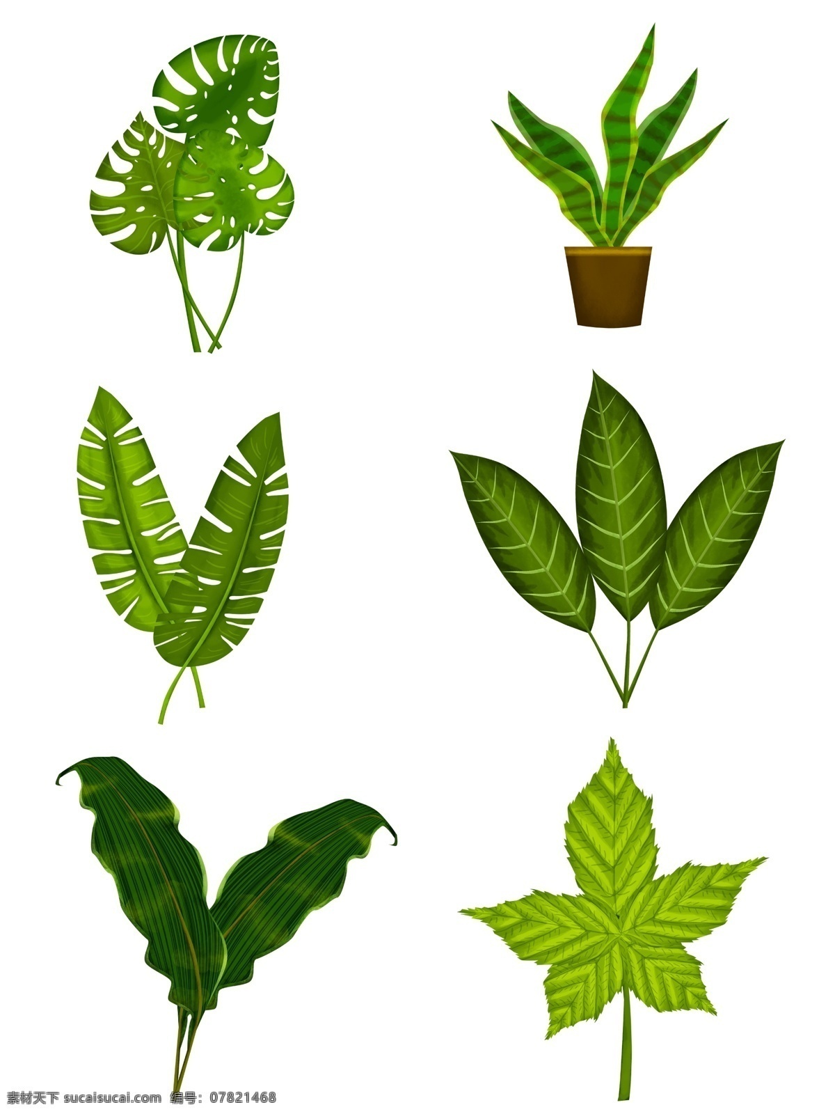 绿色 清新 文艺 手绘 北欧 风 植物 叶子 套 图 绿色植物 清新文艺 北欧风 盆栽