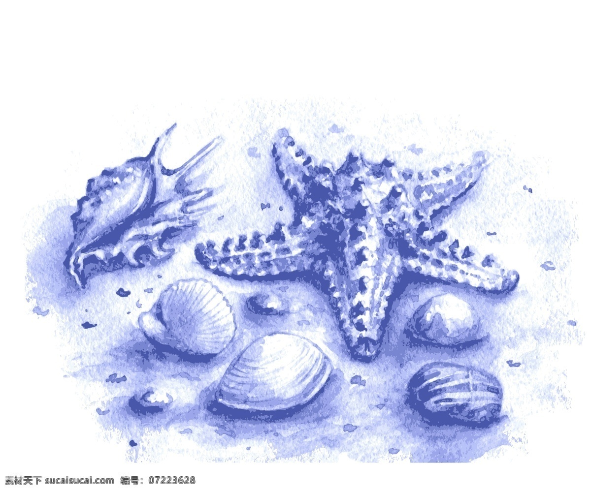 蓝色 水彩 绘 海洋生物 插画 贝壳 海星 海洋 卡通 生物 手绘 水彩绘