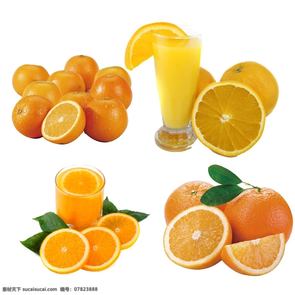 橙子素材 绿色橙子 新鲜橙汁 鲜榨橙子 柑橘素材 新鲜橙子 橙汁 新鲜水果 新鲜 西柚 绿叶 柑橘 桔子 橙子 成熟 脐橙 橙子树 果树 果园 水果 美食 美味 多汁 甜橙 切开的橙子 金色的橙子 分层 源文件